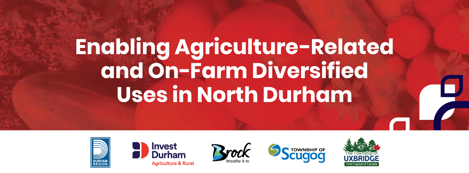 enabling agriculture related and on farm diversified uses in north durham 