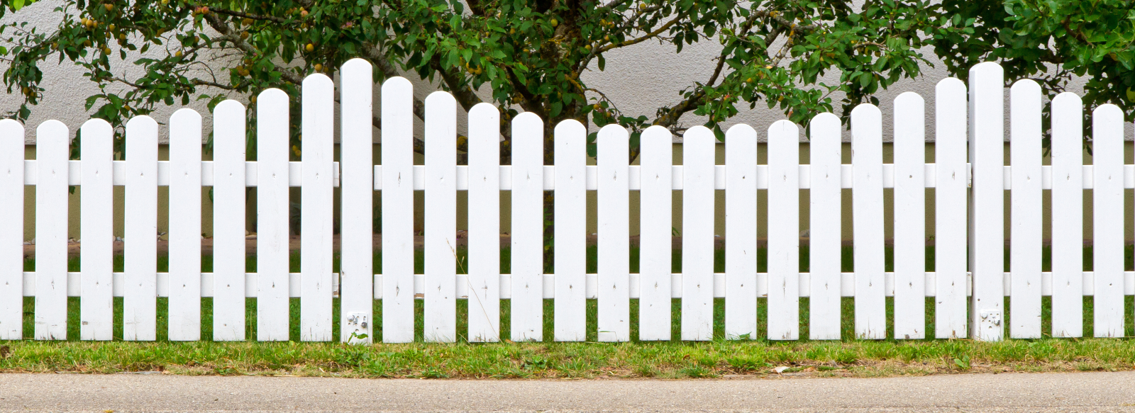 white picket fence with grass growing beside it 